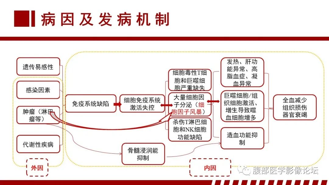 影像PPT - 【PPT】肝脏血液系统疾病影像综述-113