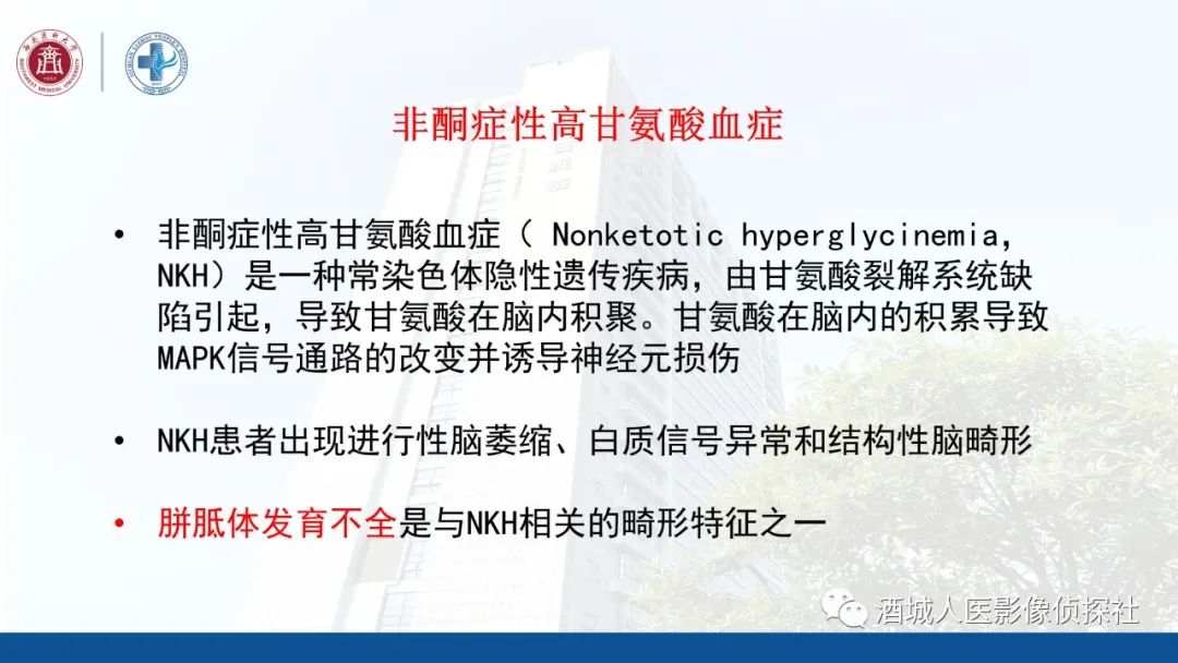 影像PPT - 【PPT】过目难忘的枫糖尿病-23