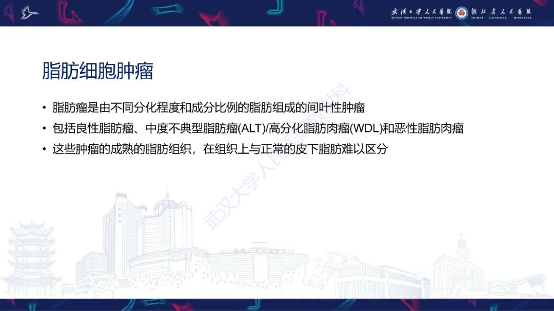 影像PPT - 【PPT】腹壁肿瘤及肿瘤样病变影像诊断-7