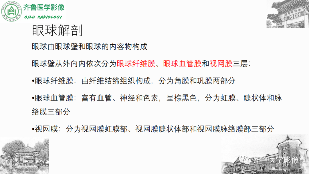 影像PPT - 【PPT】眼与眼眶病变—脉络膜黑色素瘤-10