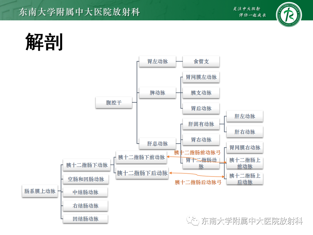 影像PPT - 【PPT】孤立性肠系膜上动脉夹层-5