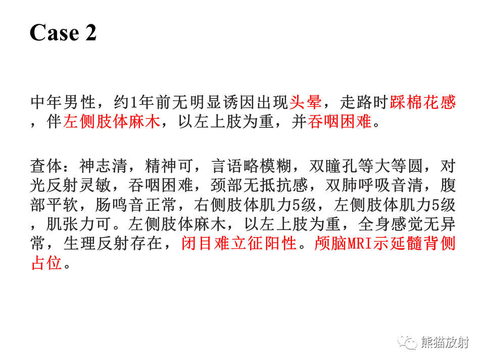 影像PPT - 【病例】血管母细胞瘤2例MR影像-13