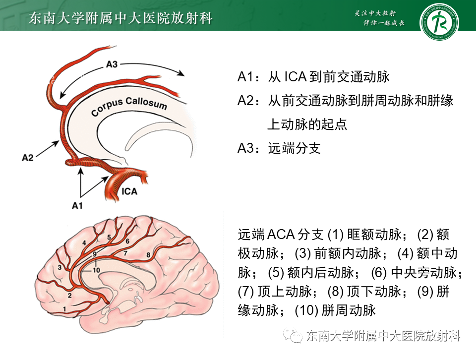 影像PPT - 【PPT】烟雾病-9
