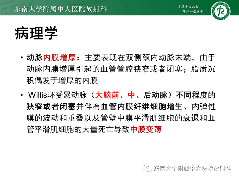 影像PPT - 【PPT】烟雾病-14