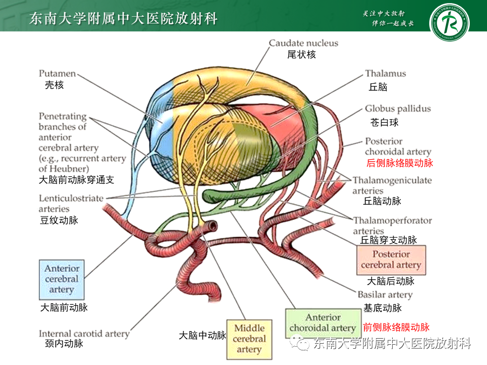 影像PPT - 【PPT】烟雾病-19