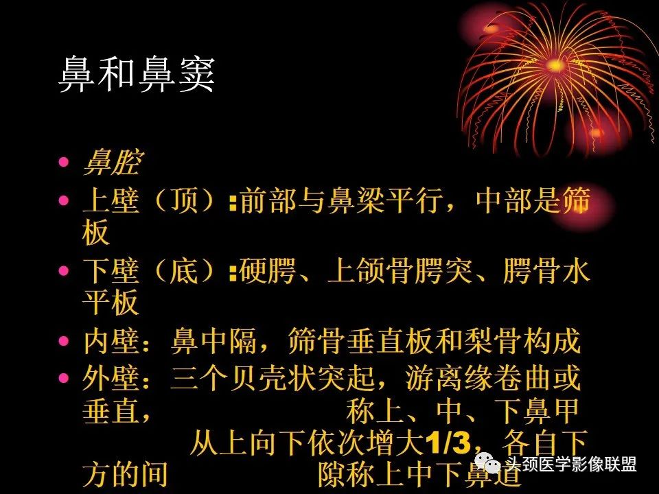 影像PPT - 【PPT】五官影像诊断学-38