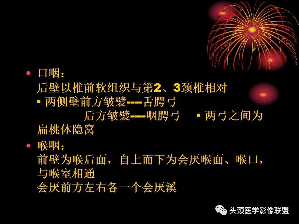 影像PPT - 【PPT】五官影像诊断学-55