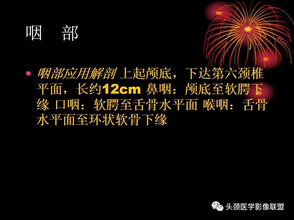 影像PPT - 【PPT】五官影像诊断学-53