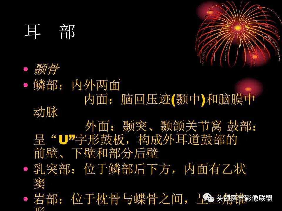 影像PPT - 【PPT】五官影像诊断学-64