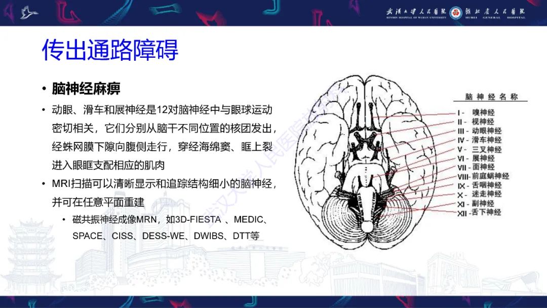 影像PPT - 【PPT】MRI在神经眼科疾病中的应用-54