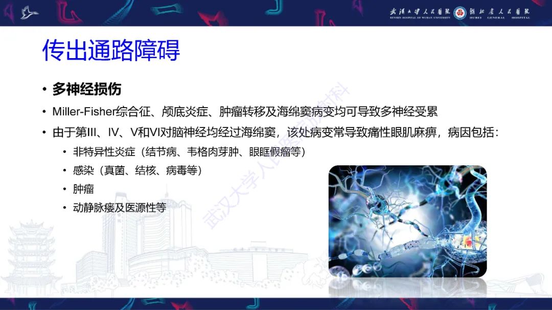 影像PPT - 【PPT】MRI在神经眼科疾病中的应用-66