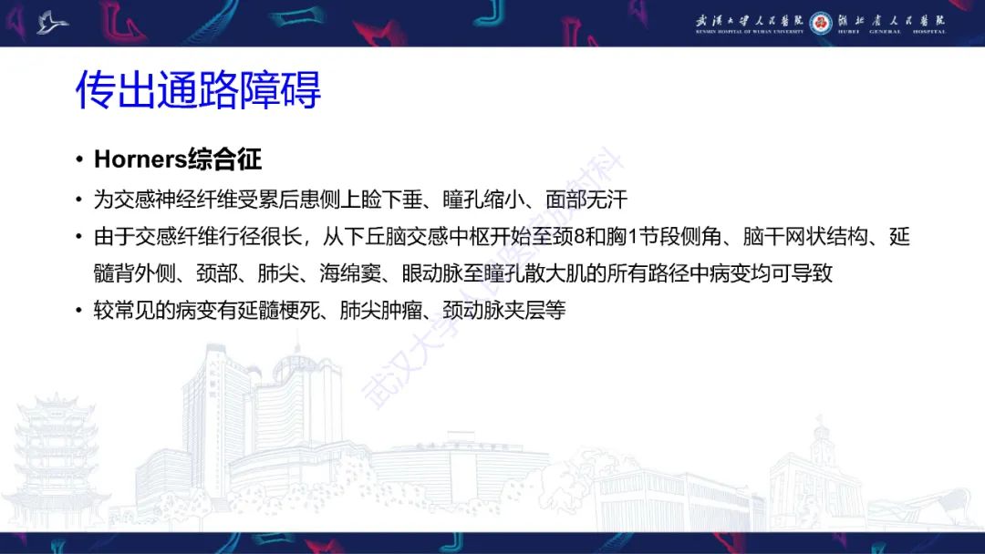 影像PPT - 【PPT】MRI在神经眼科疾病中的应用-73