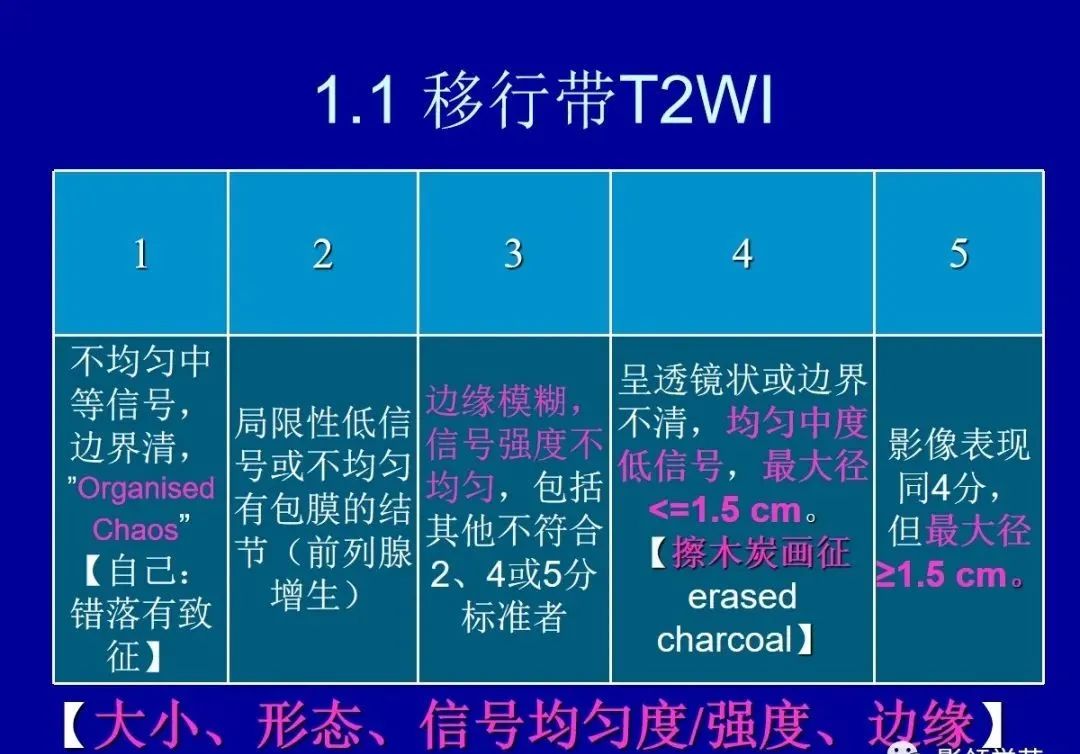 影像PPT - 【PPT】前列腺癌MRI诊断再认识-4