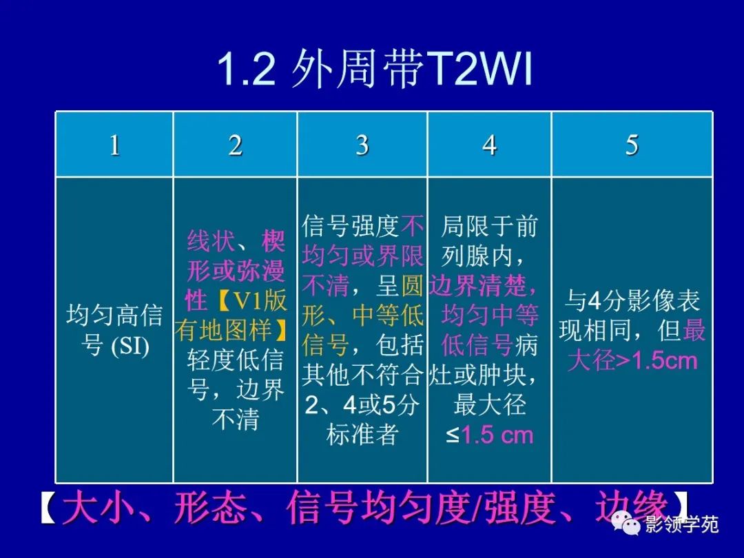 影像PPT - 【PPT】前列腺癌MRI诊断再认识-6