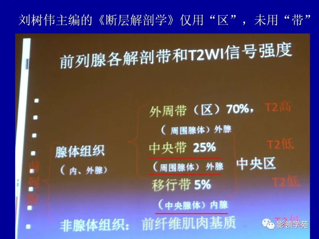 影像PPT - 【PPT】前列腺癌MRI诊断再认识-27