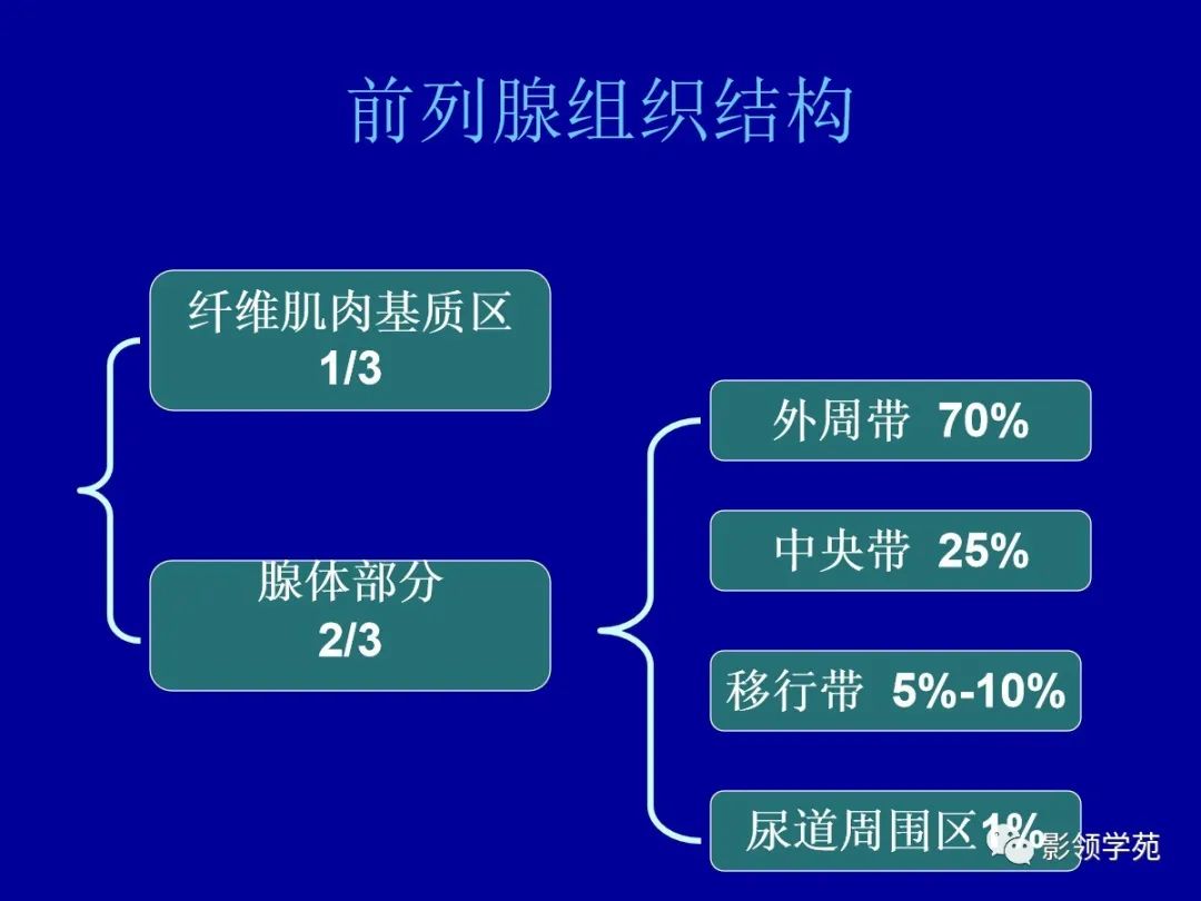 影像PPT - 【PPT】前列腺癌MRI诊断再认识-41