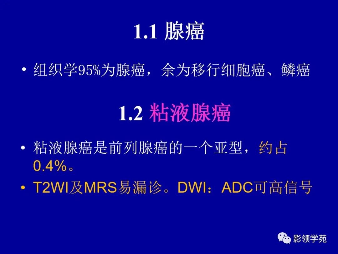 影像PPT - 【PPT】前列腺癌MRI诊断再认识-115