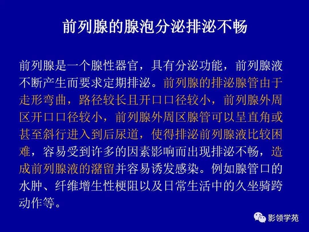 影像PPT - 【PPT】前列腺癌MRI诊断再认识-135