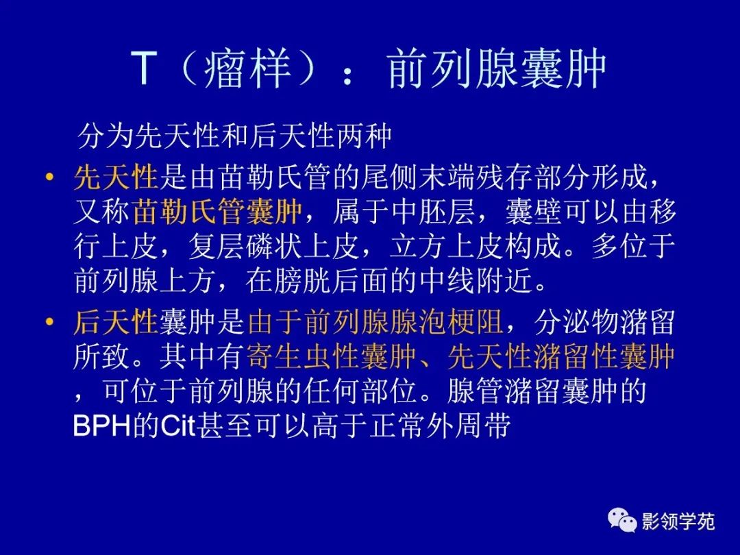 影像PPT - 【PPT】前列腺癌MRI诊断再认识-145