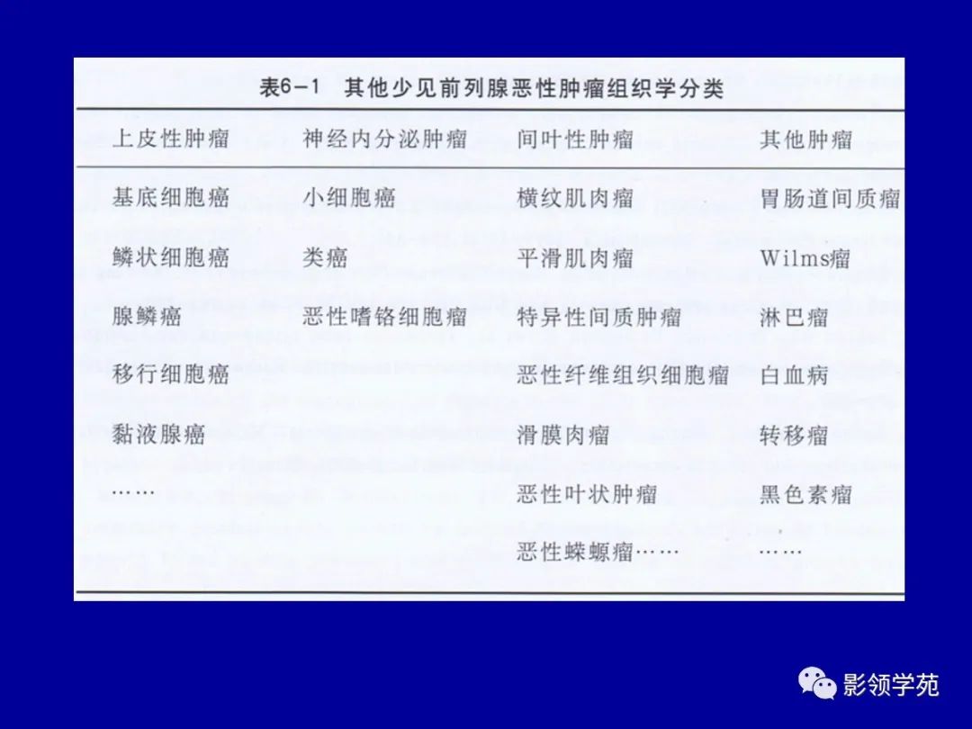 影像PPT - 【PPT】前列腺癌MRI诊断再认识-149