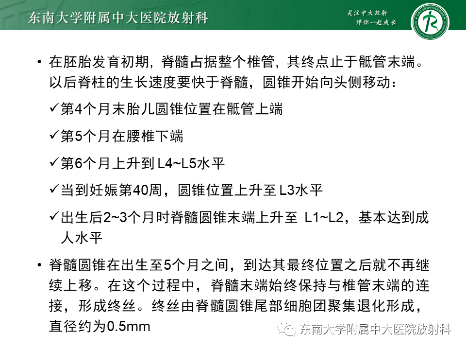 影像PPT - 【PPT】原发性脊髓拴系综合征-8 影像PPT - 【PPT】原发性脊髓拴系综合征-8