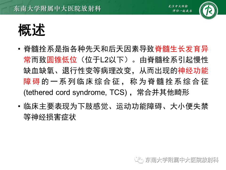 影像PPT - 【PPT】原发性脊髓拴系综合征-9 影像PPT - 【PPT】原发性脊髓拴系综合征-9