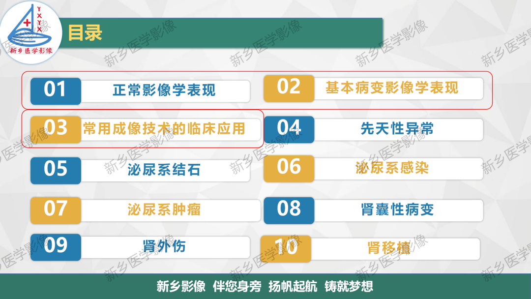 影像PPT - 【PPT】泌尿生殖系统解剖及基本病变影像表现-2