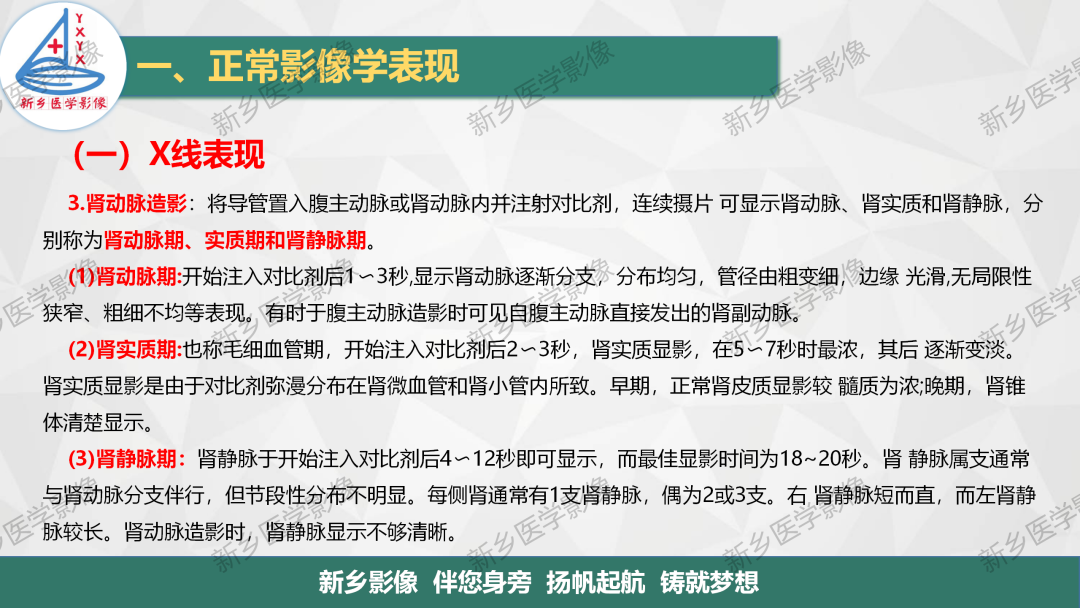 影像PPT - 【PPT】泌尿生殖系统解剖及基本病变影像表现-14