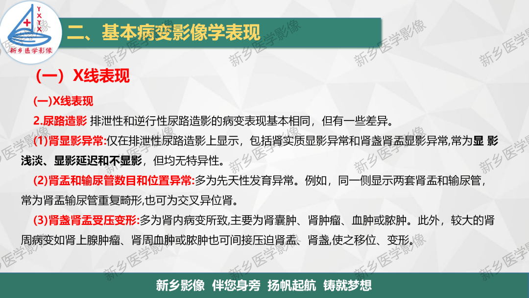 影像PPT - 【PPT】泌尿生殖系统解剖及基本病变影像表现-26