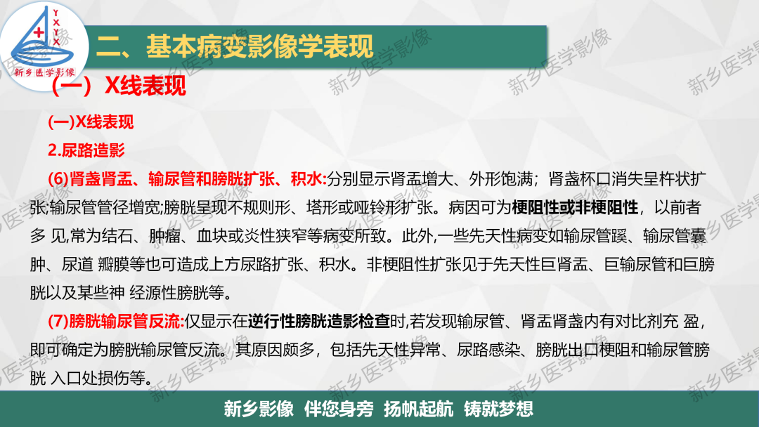 影像PPT - 【PPT】泌尿生殖系统解剖及基本病变影像表现-28