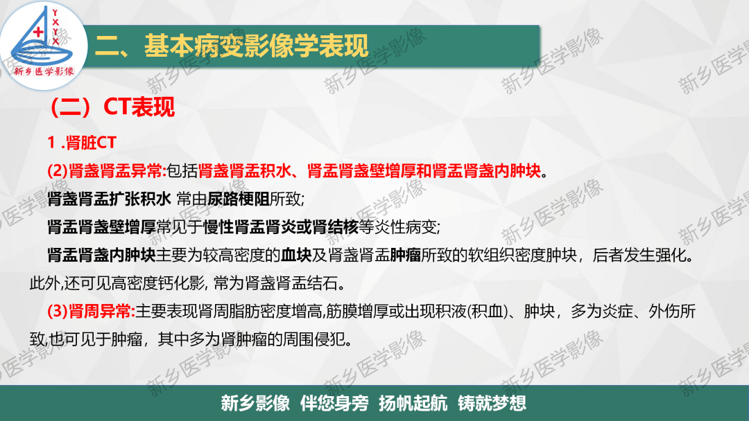 影像PPT - 【PPT】泌尿生殖系统解剖及基本病变影像表现-31