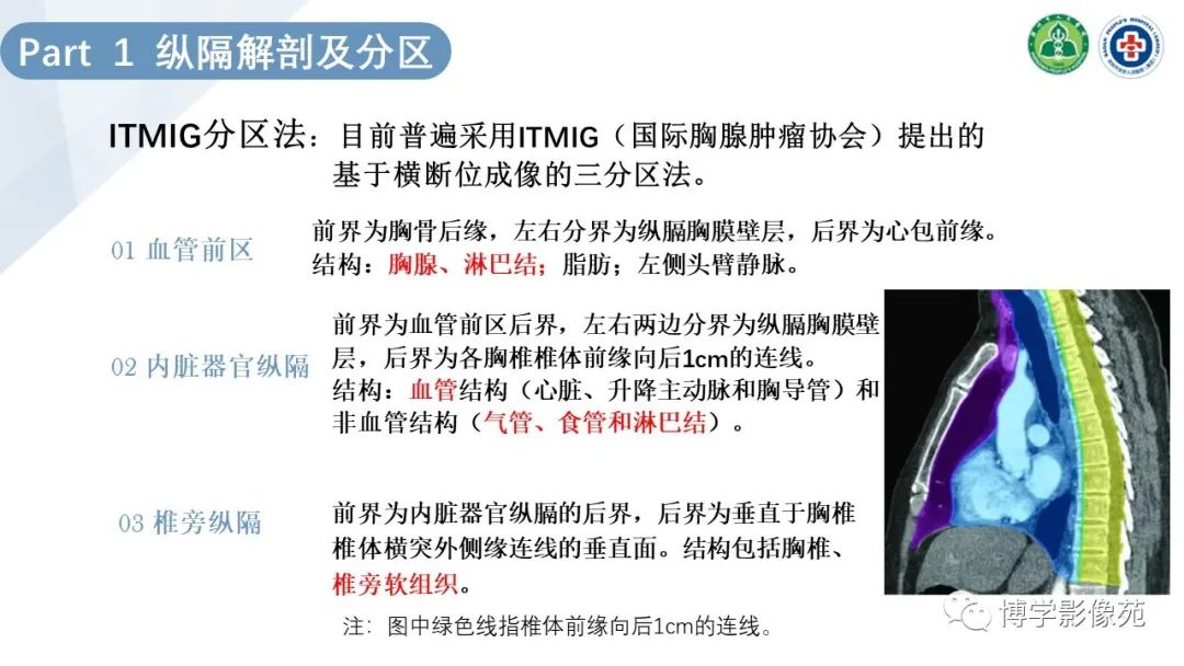 影像PPT - 【PPT】纵隔疾病-4