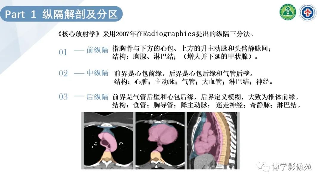 影像PPT - 【PPT】纵隔疾病-3