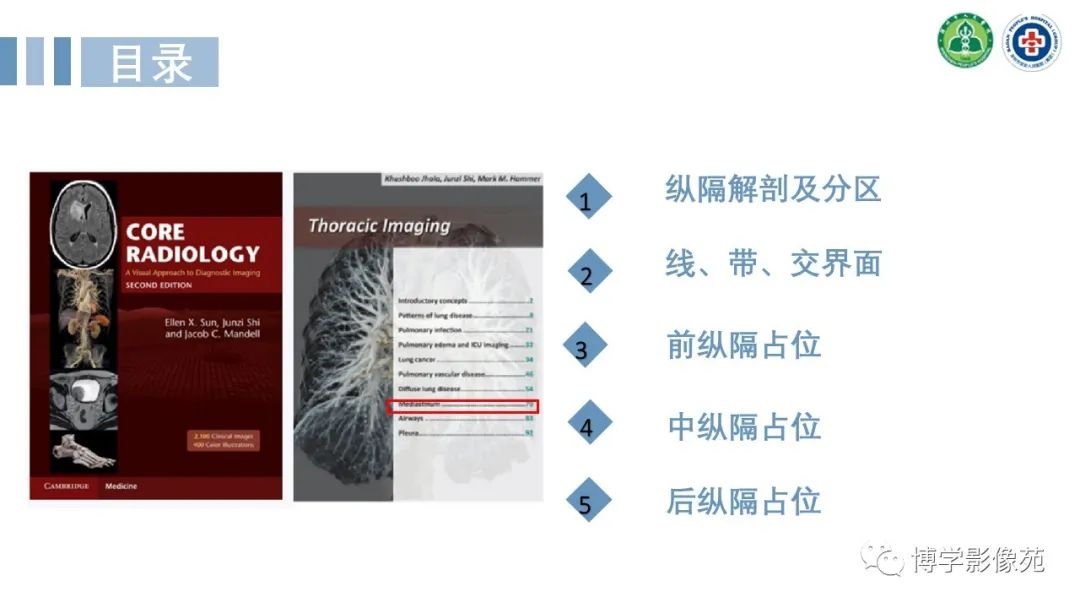 影像PPT - 【PPT】纵隔疾病-2