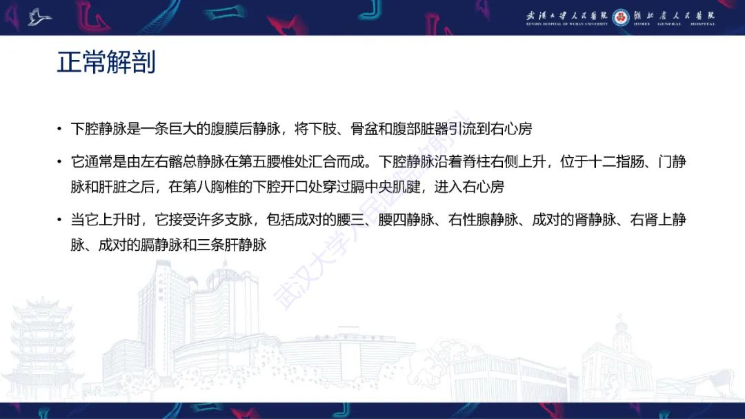 影像PPT - 【PPT】下腔静脉解剖变异及病变影像诊断-3