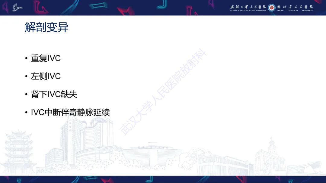 影像PPT - 【PPT】下腔静脉解剖变异及病变影像诊断-6