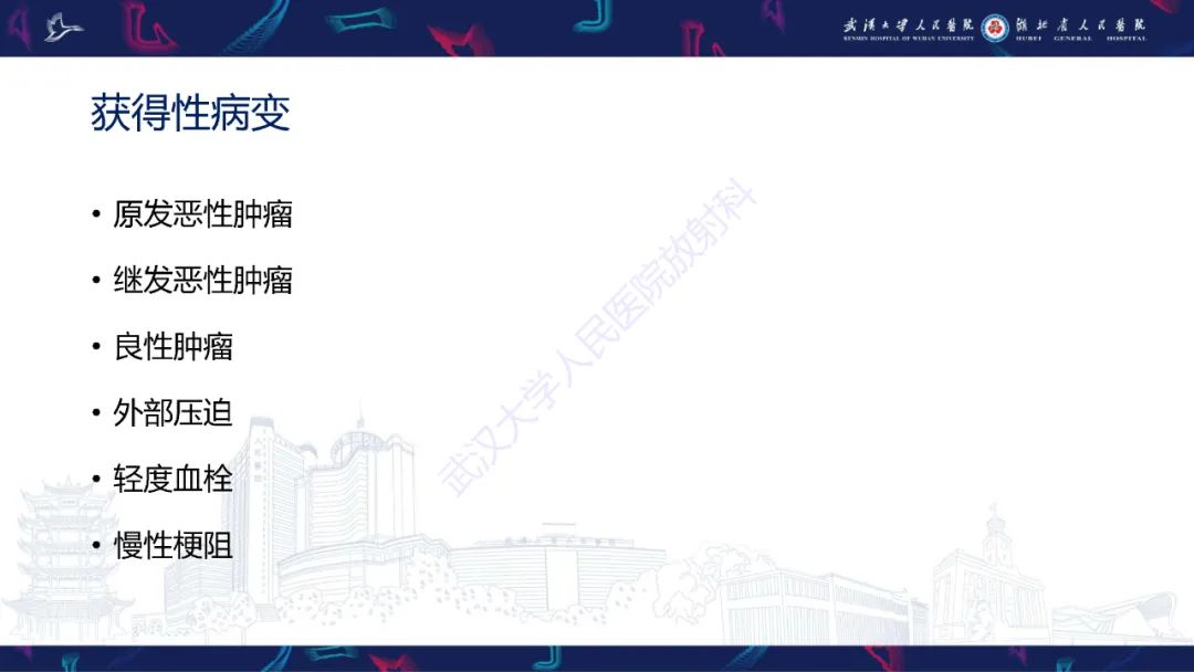 影像PPT - 【PPT】下腔静脉解剖变异及病变影像诊断-16