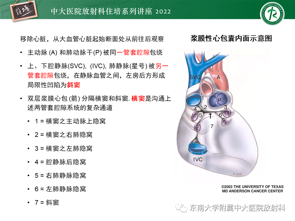 影像PPT - 【PPT】心包隐窝的CT解剖及在肿瘤影像检查中的临床意义-5