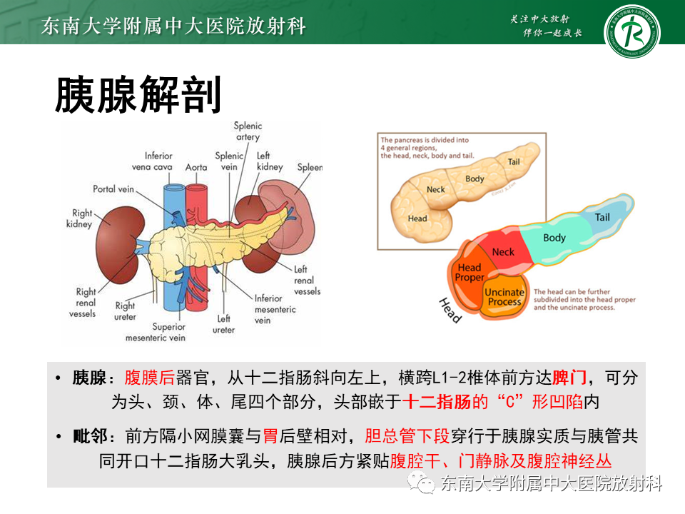 影像PPT - 【PPT】胰腺常见囊性病变影像表现-6