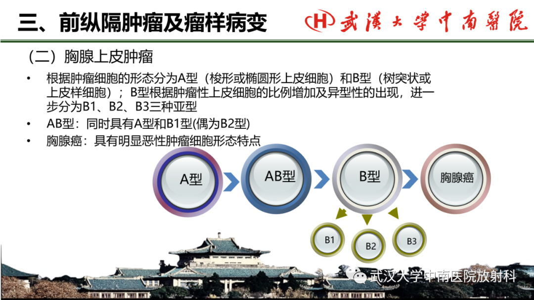 影像PPT - 【PPT】纵隔影像解剖、纵隔肿瘤定位及前纵隔肿瘤和瘤样病变-30