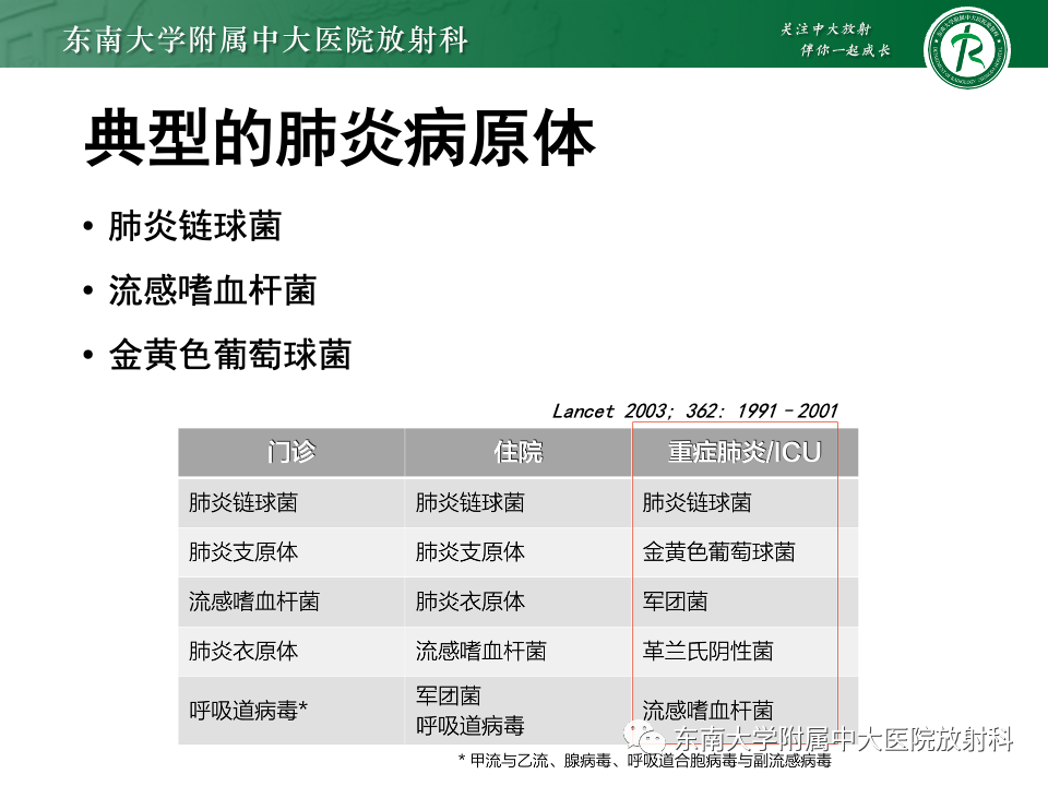 影像PPT - 【PPT】非典型性肺炎—以鹦鹉热衣原体感染为例-21