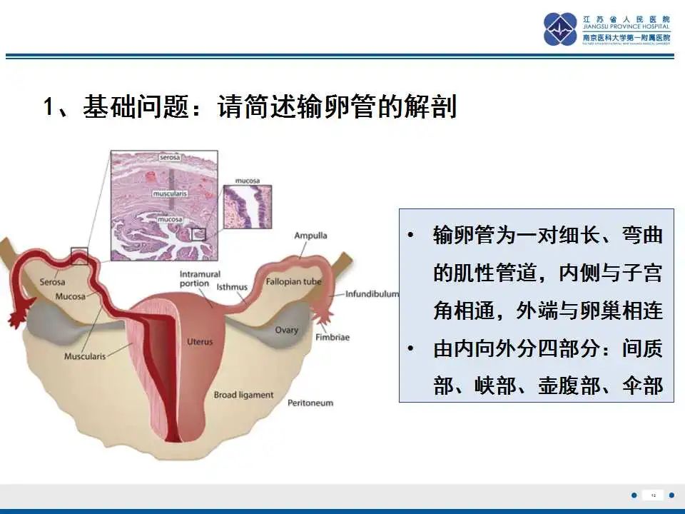 影像PPT - 【PPT】原发性输卵管癌-13