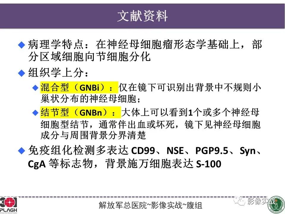 影像PPT - 【病例】节细胞神经母细胞瘤1例CT解析思路-31