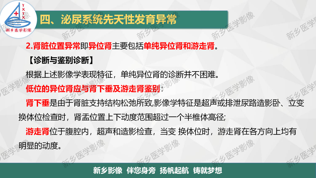 影像PPT - 【PPT】泌尿系统先天性发育异常影像表现-10