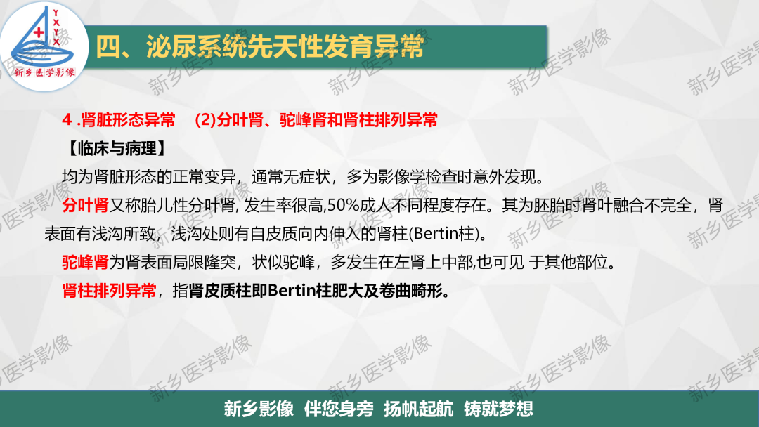 影像PPT - 【PPT】泌尿系统先天性发育异常影像表现-19