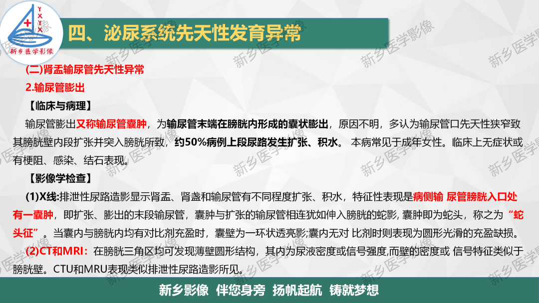 影像PPT - 【PPT】泌尿系统先天性发育异常影像表现-26