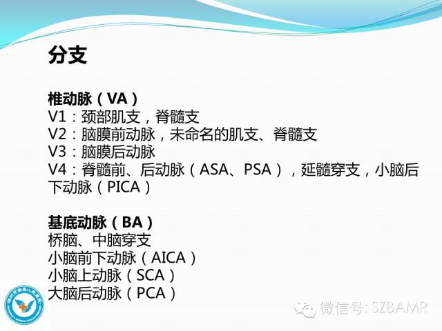 影像PPT - 【PPT】椎-基底动脉系统解剖-4 影像PPT - 【PPT】椎-基底动脉系统解剖-4