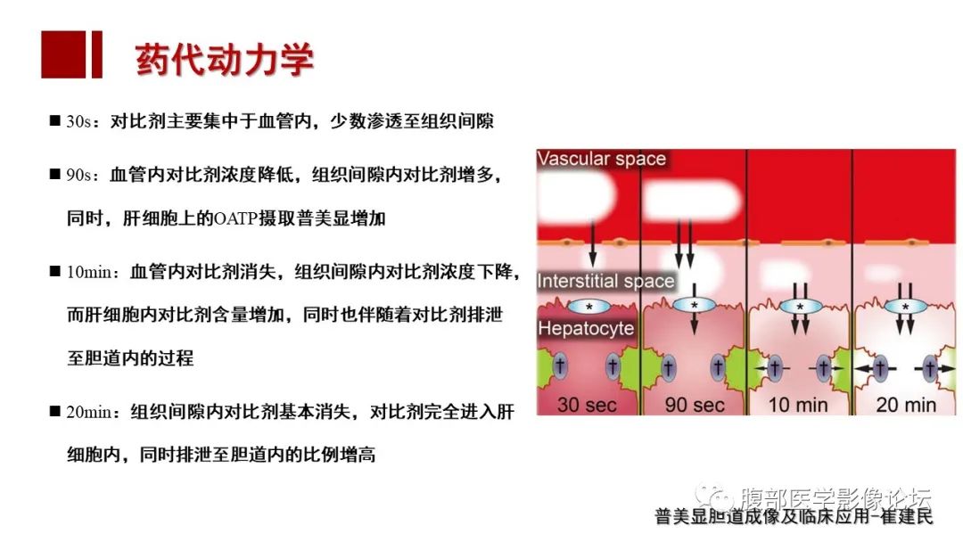 影像PPT - 【PPT】肝胆期高信号的病变影像表现及临床意义-8