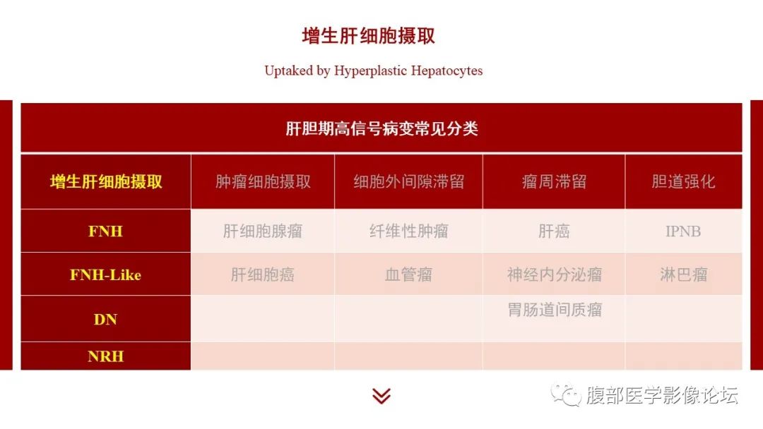 影像PPT - 【PPT】肝胆期高信号的病变影像表现及临床意义-13