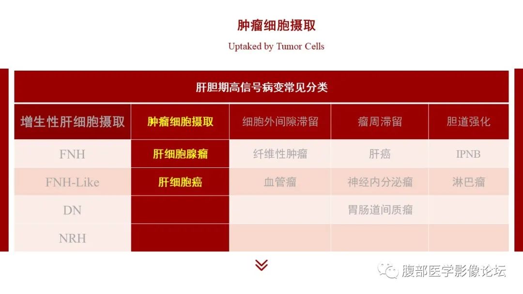 影像PPT - 【PPT】肝胆期高信号的病变影像表现及临床意义-33